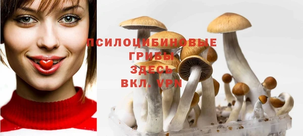 2c-b Алексин