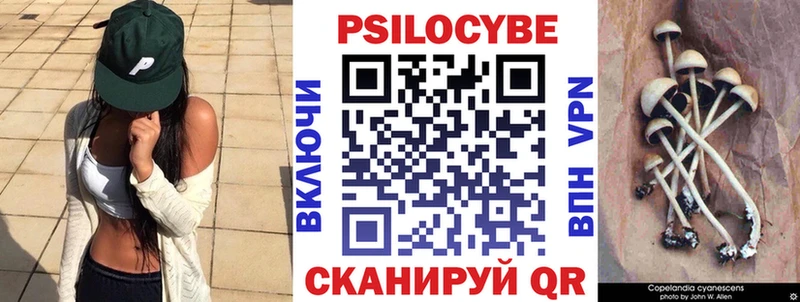 продажа наркотиков Глазов Псилоцибиновые грибы Psilocybine cubensis