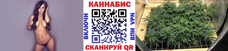 Шишки марихуана марихуана Глазов
