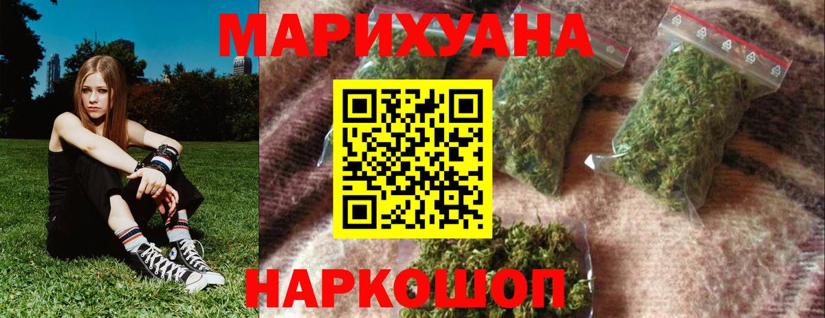 Канабис сатива Глазов